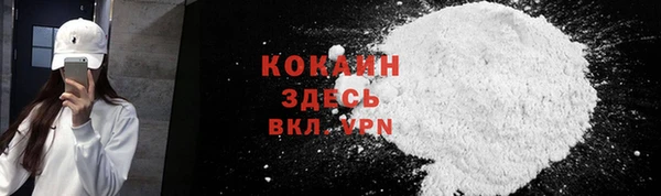 соль ск Абаза