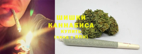 амф Инсар