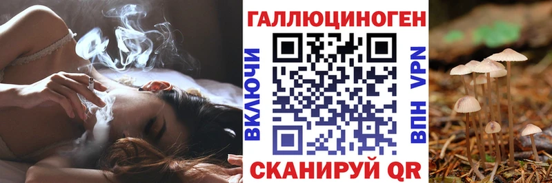 закладки  Амурск  Псилоцибиновые грибы MAGIC MUSHROOMS 